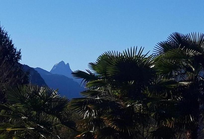 キングサイズベッドのスタンダードルーム, Jardin Des Chats