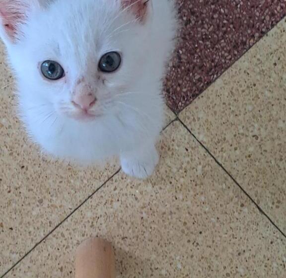 غرفة عائلية, La Garenne