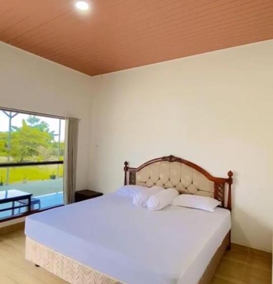 חדר סטנדרט נוף לגינה, Amadeo Guest House