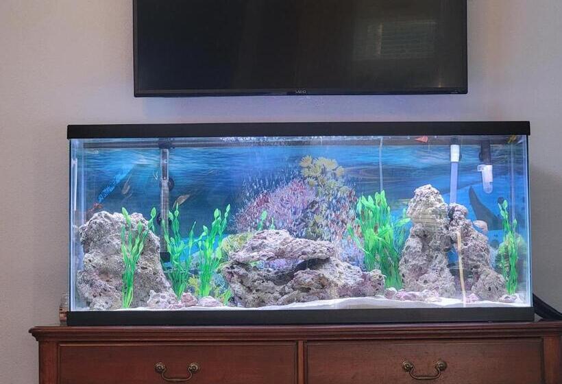 غرفة إدارية ثلاثية, Hollywood Room On The Lake