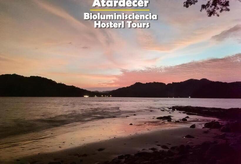 身障者適用スタンダードルーム, Bioluminiscencia Hostel Tours   North