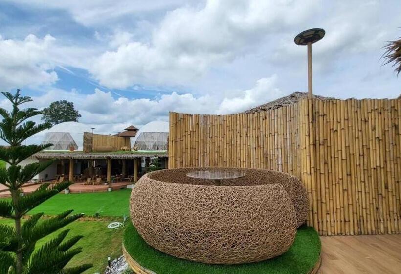 اتاق خانوادگی, Cirrus Valley Hill Resort