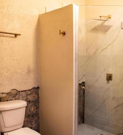 غرفة قياسية, Es Antigua Don Carlos