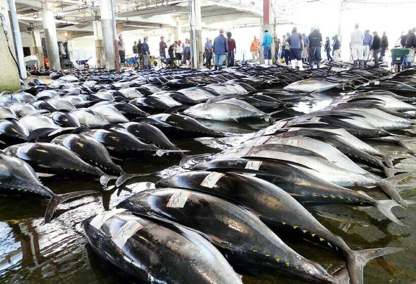 إستوديو قياسى, Pulse Inn Katsuura   Vacation Stay 44386v