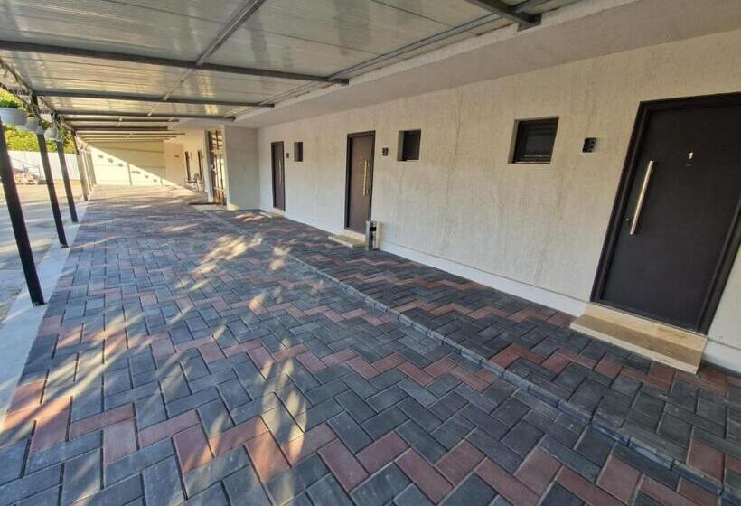 Номер Стандарт, Musatini