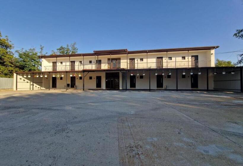 Номер Стандарт, Musatini