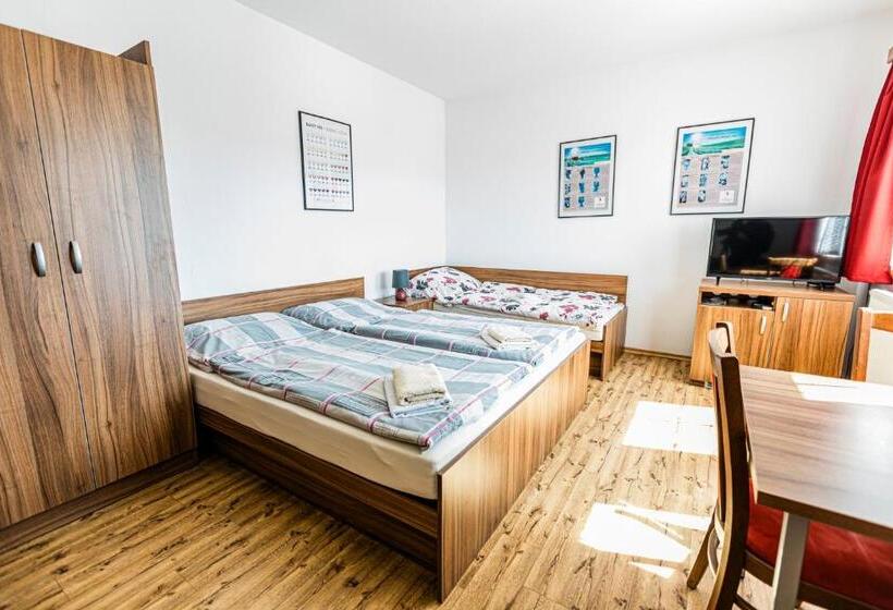 اتاق استاندارد چهار تخته, Penzion černý Sklep