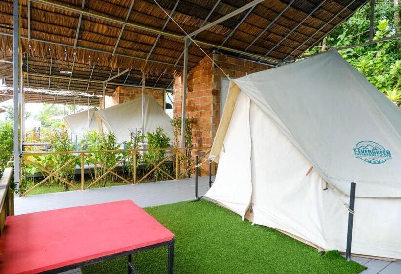 Standard Tent, Bangmara Hill