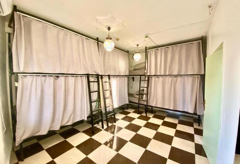 تختخواب در اتاق مشترک, Friends Oasis