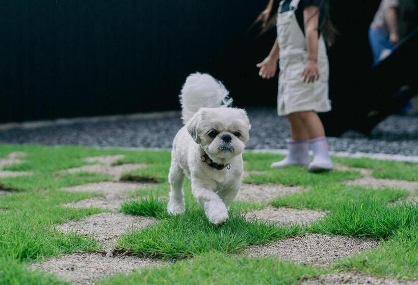 Camera Quadrupla Premium, Private Your Resort Ittekurai 松山