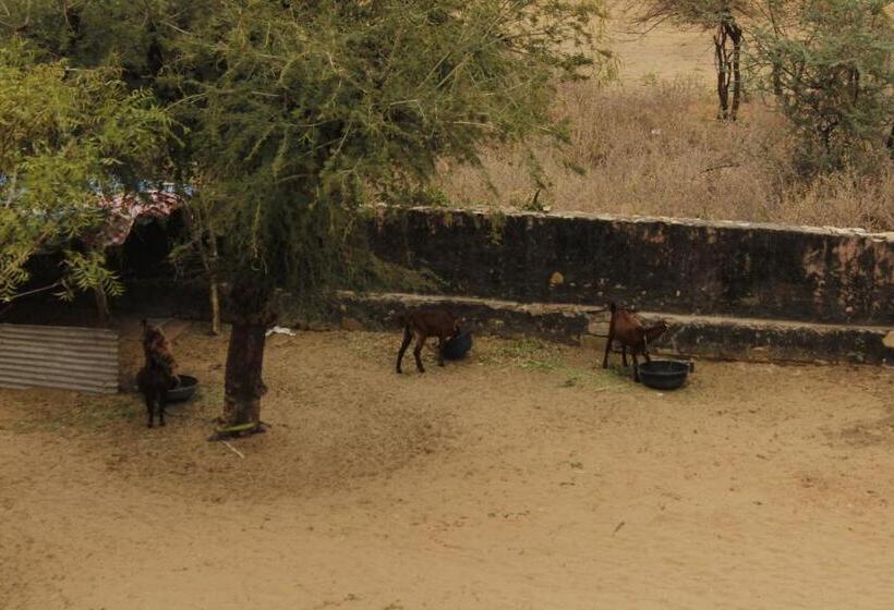 Quarto Deluxe Vista Montanha, Farm Aavjo A Conscious Stay