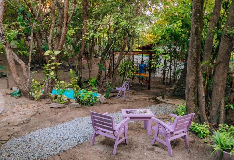 Quarto Deluxe, Oxóssi Suites