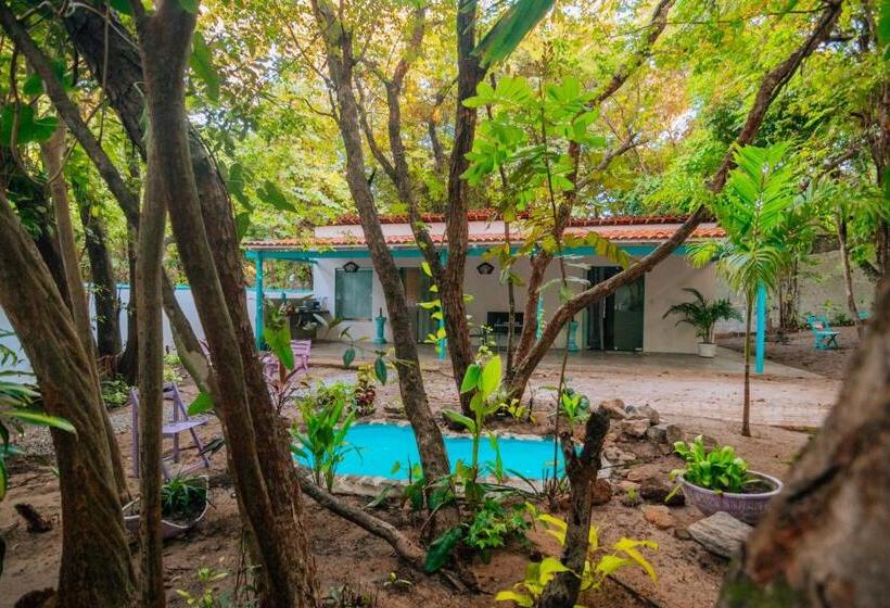 Quarto Triplo Deluxe, Oxóssi Suites