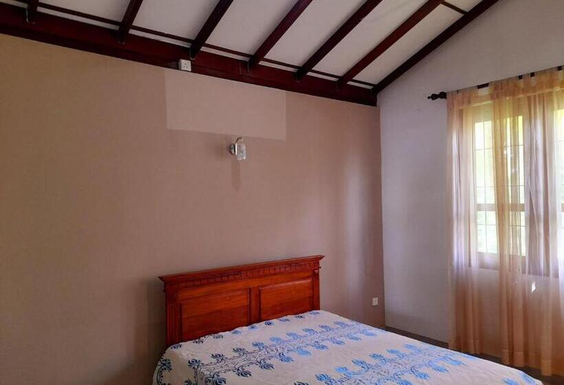 エコノミールーム, Aruliya Care Wellness Resort Gintota