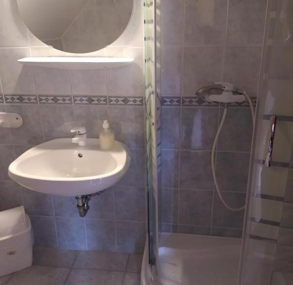 Номер Стандарт Трехместный, Misleny Home