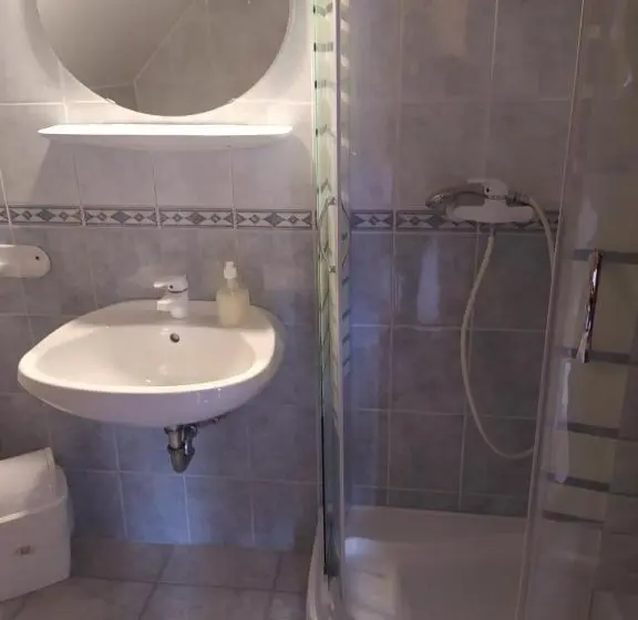 Standard Kolmen Hengen Huone, Misleny Home