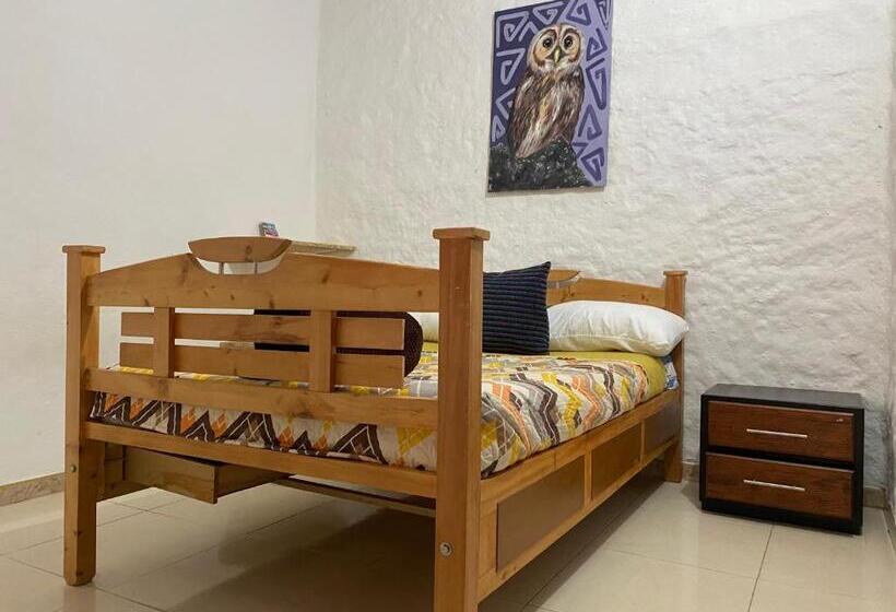 スタンダードルーム, La Greca Casa De Paz