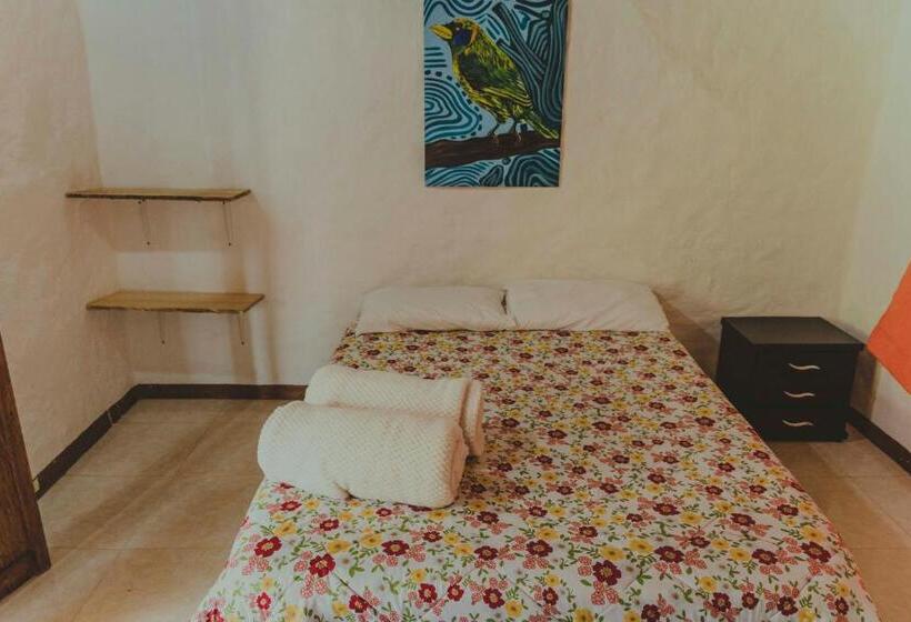 スタンダードルーム, La Greca Casa De Paz