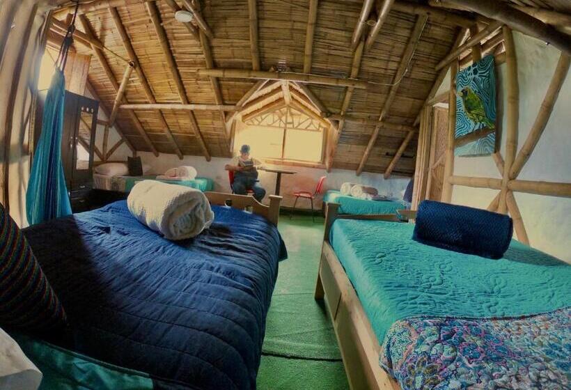 ルームシェアのワンベッド, La Greca Casa De Paz