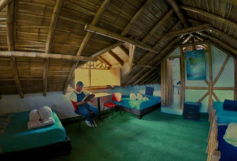 ルームシェアのワンベッド, La Greca Casa De Paz