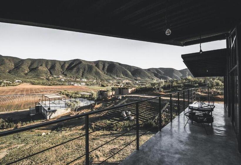 جناح ديلوكس, Origen75 Loft   Villas   Skypool   Viñedo, Valle De Guadalupe