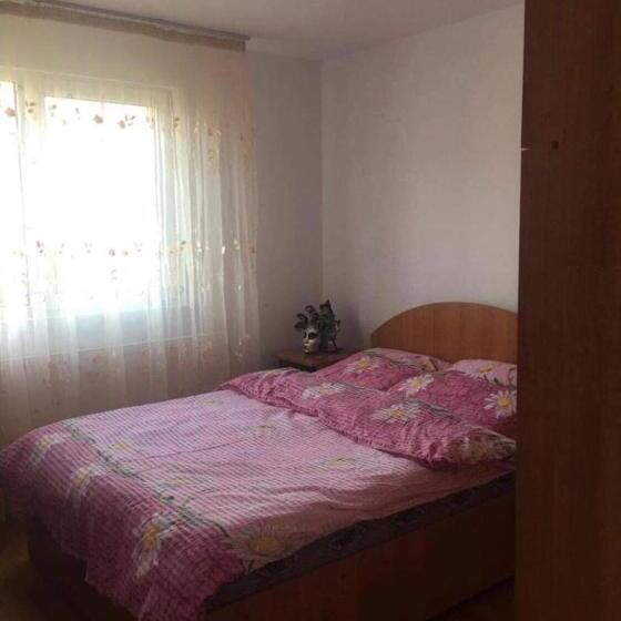 غرفة قياسية مطلة على الجبل, Pensiunea Elena