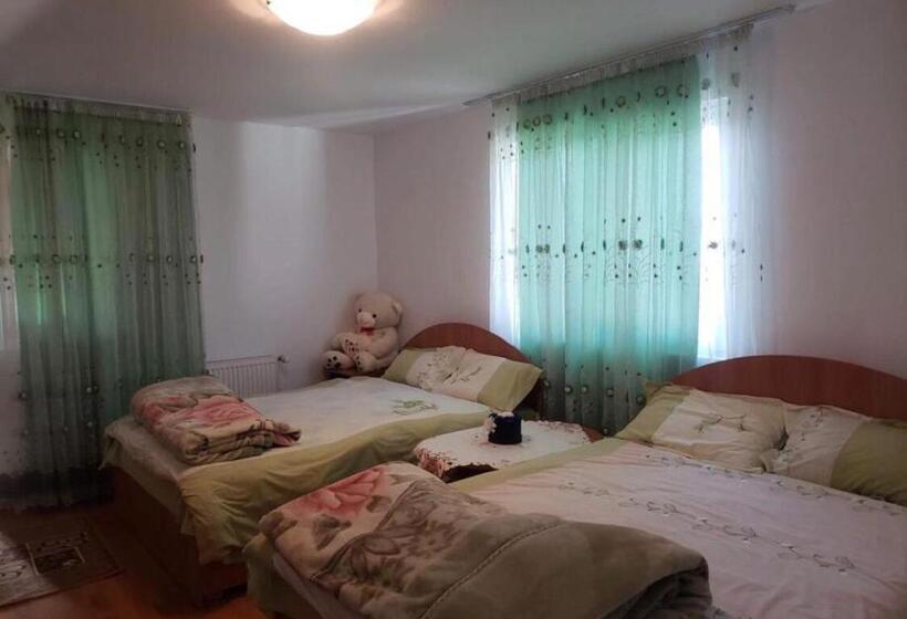 חדר סטנדרט לארבעה, Pensiunea Elena