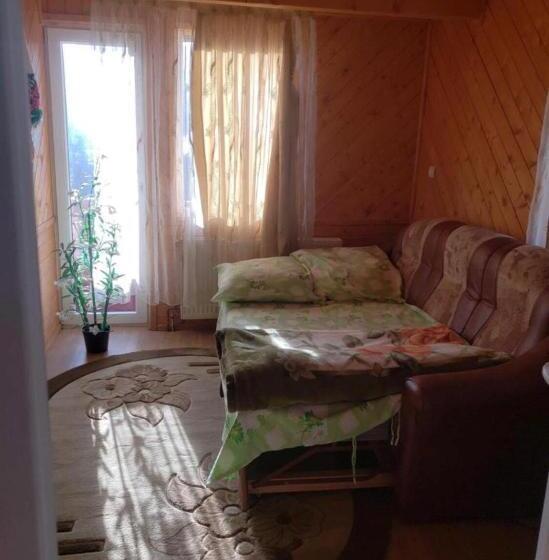 غرفة قياسية مزوَّدة بشُرفة, Pensiunea Elena