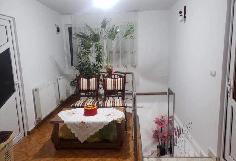 ‫فيلا غرفة نوم واحدة, Pensiunea Elena