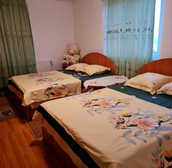 شقة غرفة واحدة ذات إطلالة, Pensiunea Elena