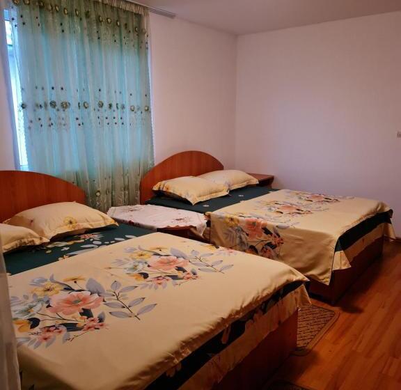 شقة غرفة واحدة ذات إطلالة, Pensiunea Elena