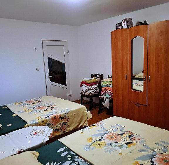 شقة غرفة واحدة ذات إطلالة, Pensiunea Elena