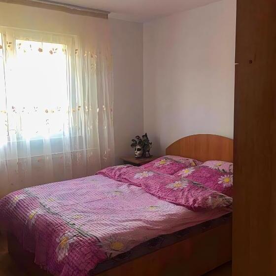 غرفة قياسية مطلة على الجبل, Pensiunea Elena