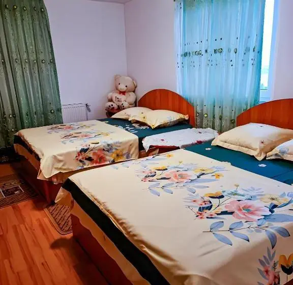 スタンダード４人部屋, Pensiunea Elena