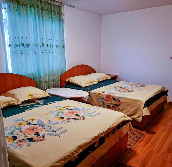 شقة غرفة واحدة ذات إطلالة, Pensiunea Elena