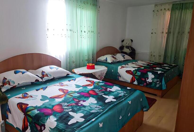 شقة غرفة واحدة ذات إطلالة, Pensiunea Elena