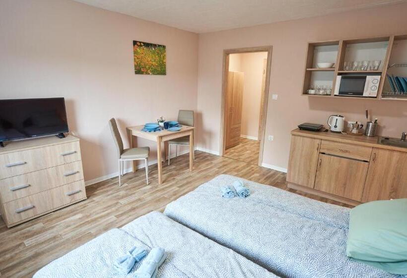 Апартаменты 1 Спальня Нижний Этаж, Thermal Apartman Fsz