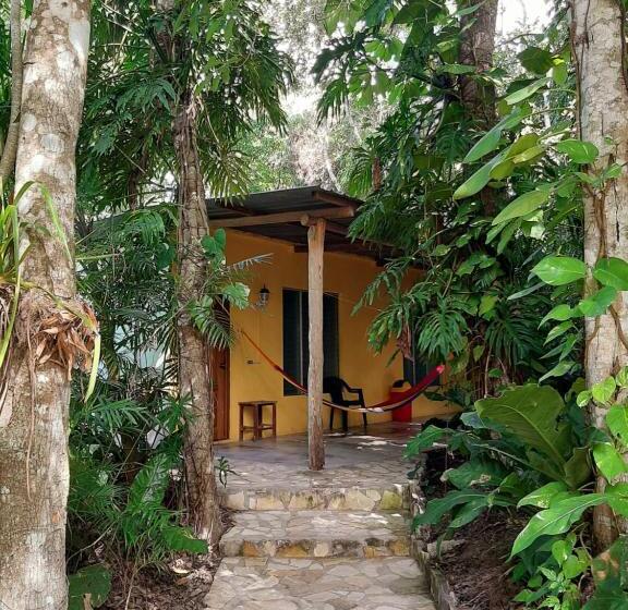 اتاق استاندارد, Ernesto Hotel & Restaurante