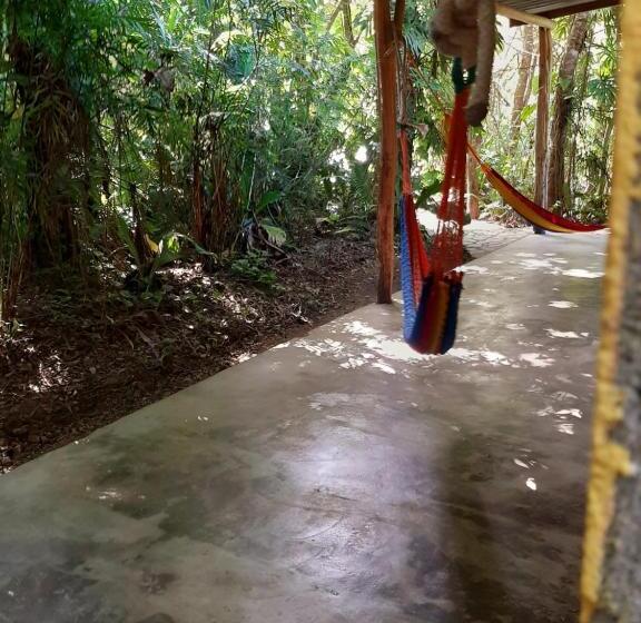 اتاق استاندارد, Ernesto Hotel & Restaurante