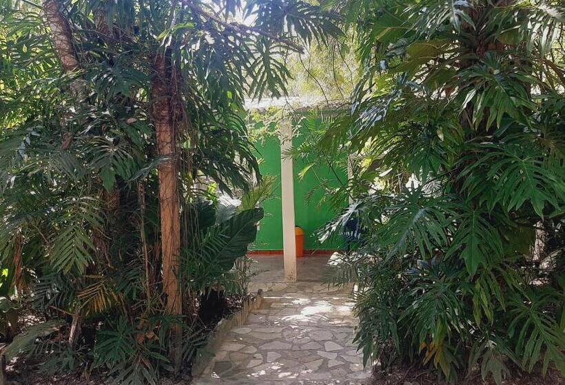 اتاق لوکس, Ernesto Hotel & Restaurante