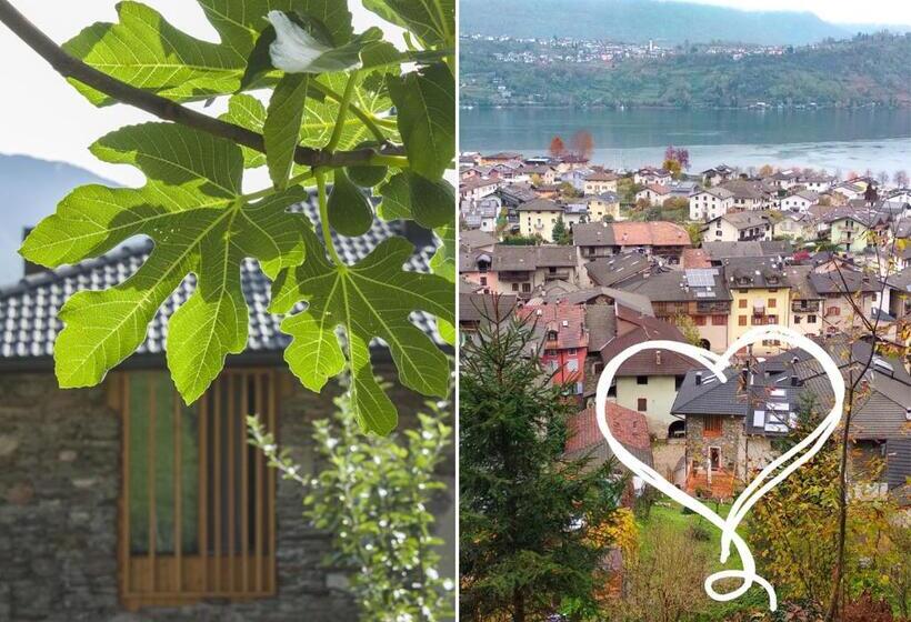 Номер Стандарт, Agriturismo Farmhouse La Barberina