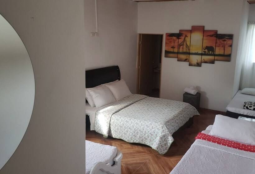 家庭间, Mirador San Jose