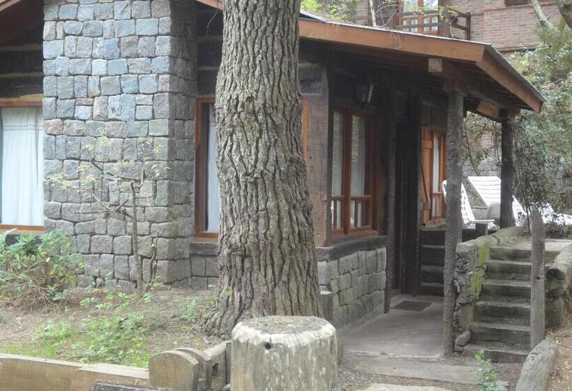 Бунгало Стандарт, Mecohue