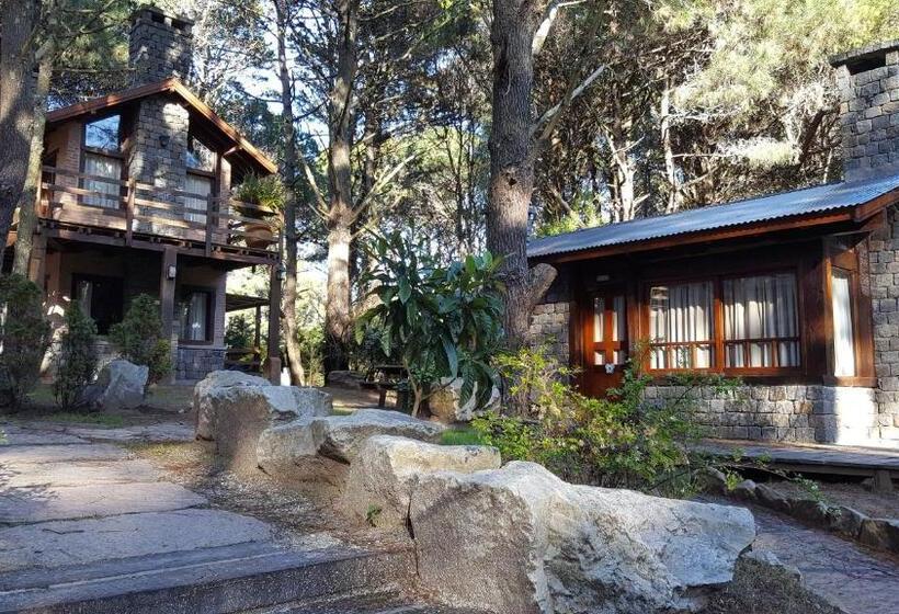 Семейное Бунгало, Mecohue