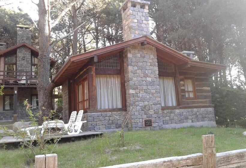 Семейное Бунгало, Mecohue