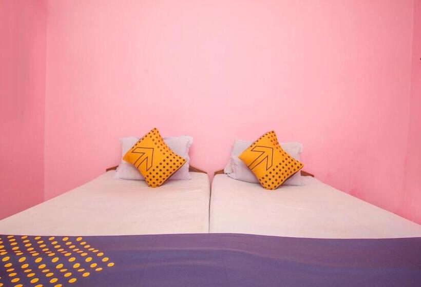 トリプルクラシックルーム, O Greenwood