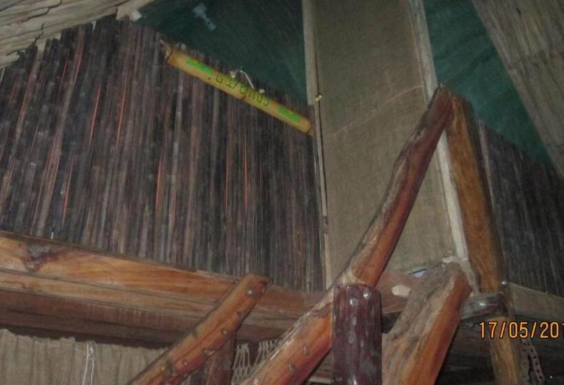 اتاق اکونومی, Hostel Cattleya