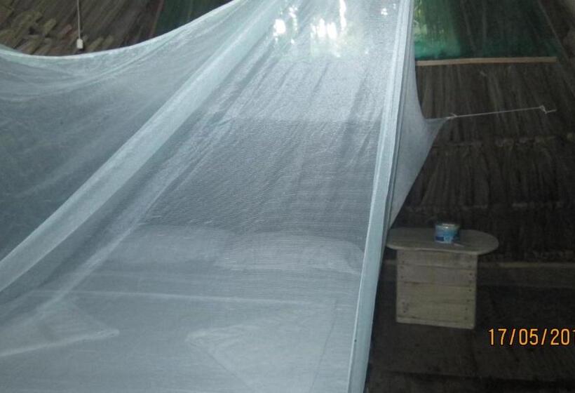 اتاق اکونومی, Hostel Cattleya