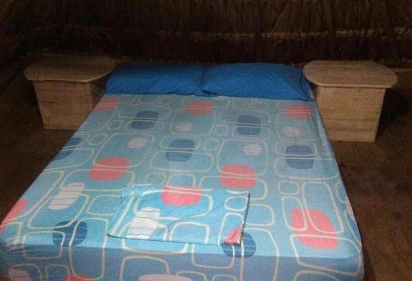 اتاق استاندارد با سرویس بهداشتی مشترک, Hostel Cattleya