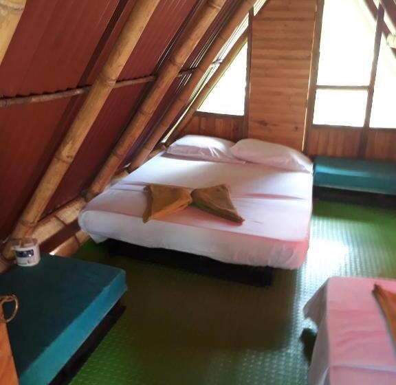 اتاق استاندارد با سرویس بهداشتی مشترک, Hostel Cattleya